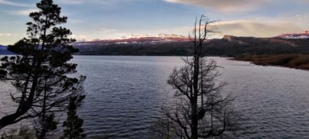 Esquel: El municipio gestiona que prestadores del Parque Nacional Los Alerces accedan a beneficios provinciales por incendios