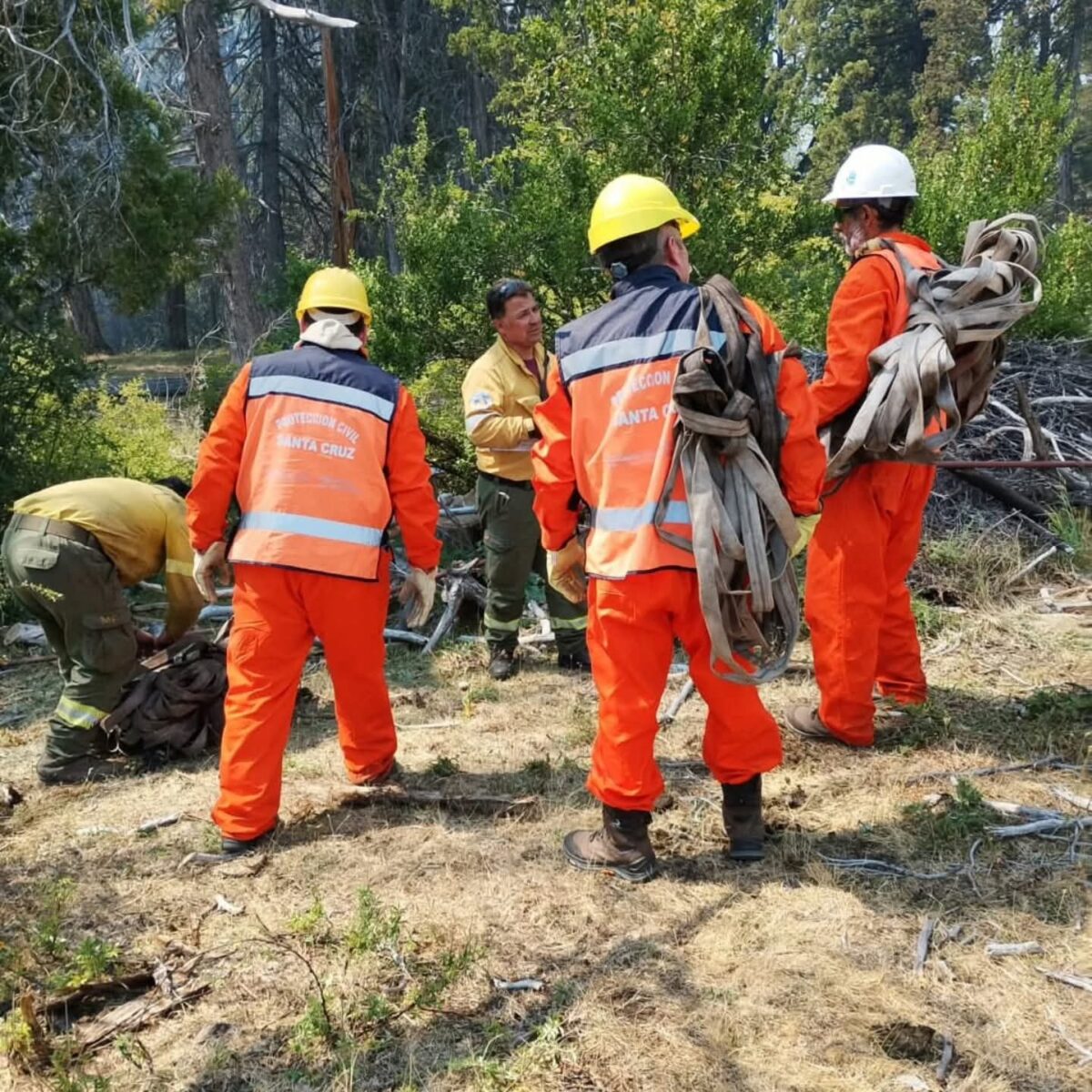 Brigadistas y Protección Civil combaten un incendio forestal en Cholila ...