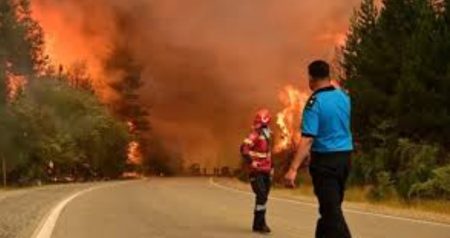Fiscal general afirmó que los incendios en el sur son intencionales: “encontramos combustible” Fiscal general afirmó que los incendios en el sur son intencionales: “encontramos combustible”