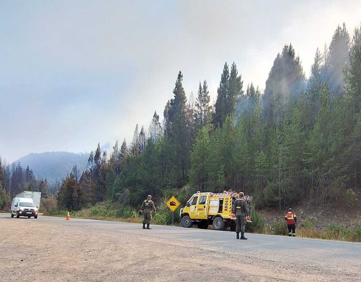 Incendios en Chubut: la Ruta 40 entre Epuyén y El Hoyo sigue habilitada con extrema precaución