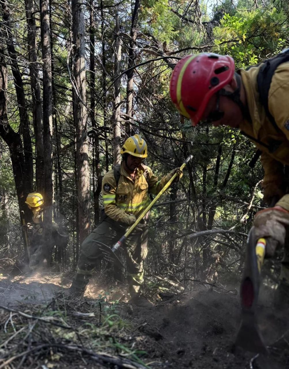 Bomberos de Chile se siguen sumando al combate en el Parque Nacional Los Alerces