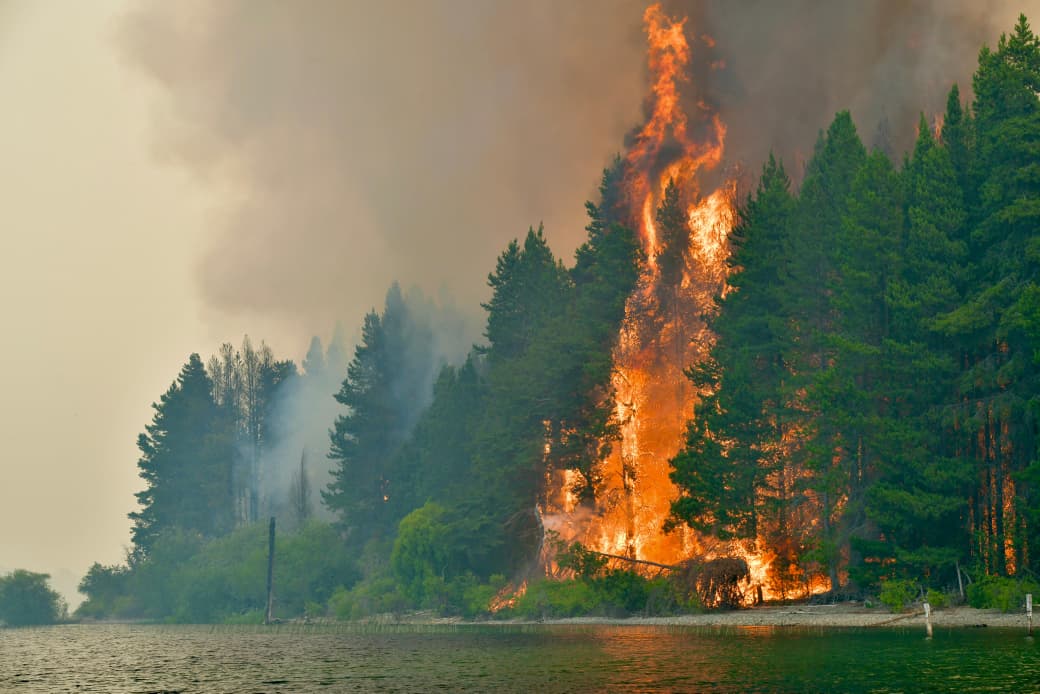 Incendios en Chubut: El fuego avanzó 30 kilómetros y alcanzó el límite de la zona poblada