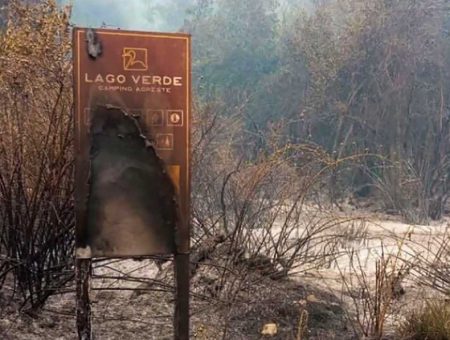 Incendio en Los Alerces: "Se está quemando nuestra historia, nuestro hogar, nuestro bosque"