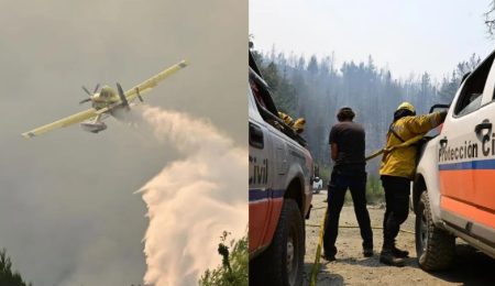 Incendio en Puerto Patriada: operativo con casi 500 personas y apoyo aéreo permanente Incendio en Puerto Patriada: operativo con casi 500 personas y apoyo aéreo permanente