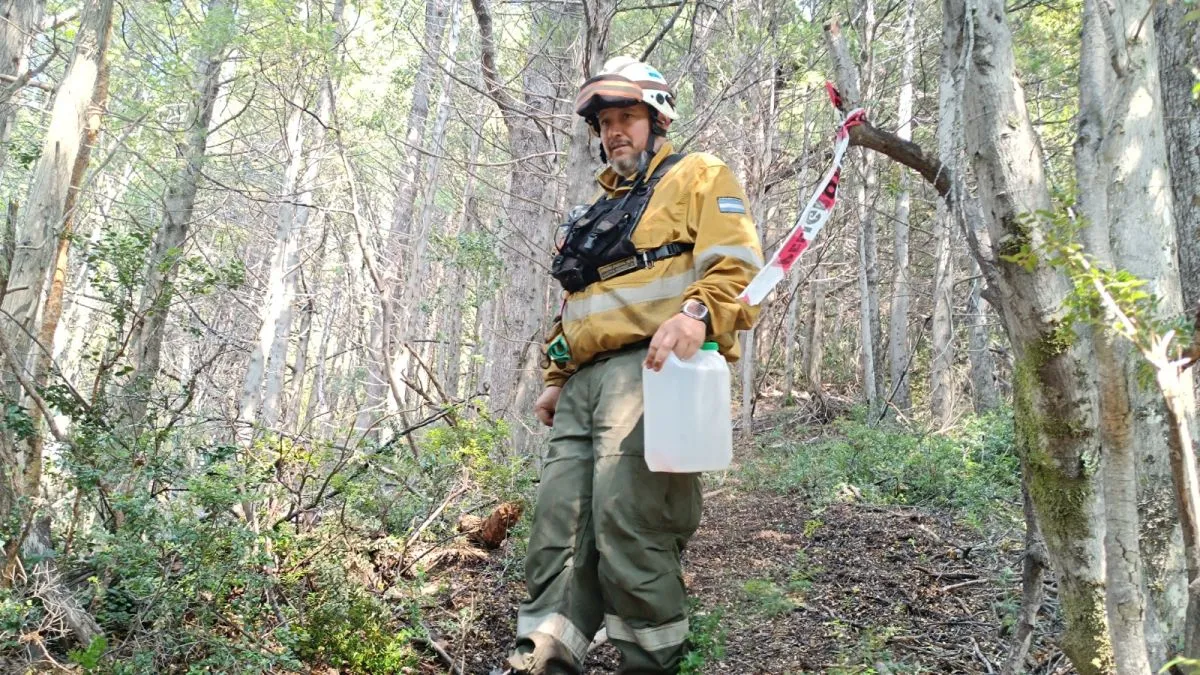 Incendio en Los Alerces: hay cinco sectores activos y la tormenta eléctrica podría sumar nuevos focos