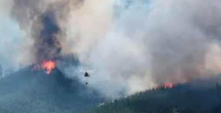 Incendios en Chubut: el fuego no para en la cordillera y ya son más de 5.200 hectáreas quemadas