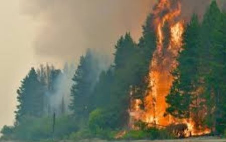 Incendios en Chubut: ya son más de 13.000 las hectáreas alcanzadas por el fuego