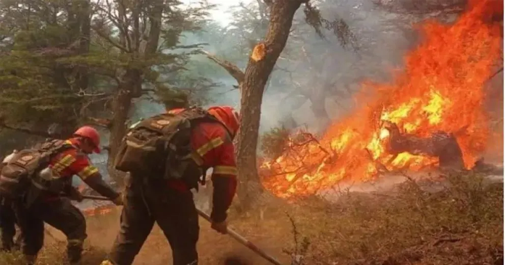 Incendios en Chubut: ¿cuáles son las zonas más afectadas por el fuego?