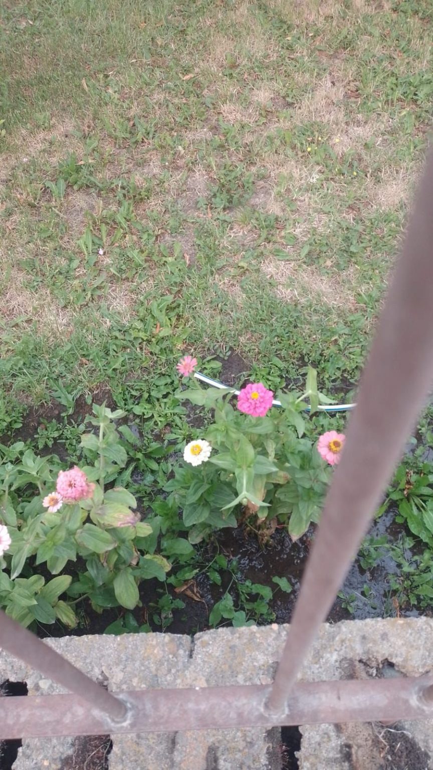 Esquel refuerza controles por derroche de agua y terrenos baldíos sin limpiar