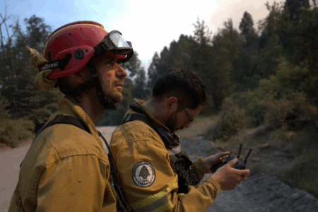 Disponen la intervención del Parque Nacional Los Alerces