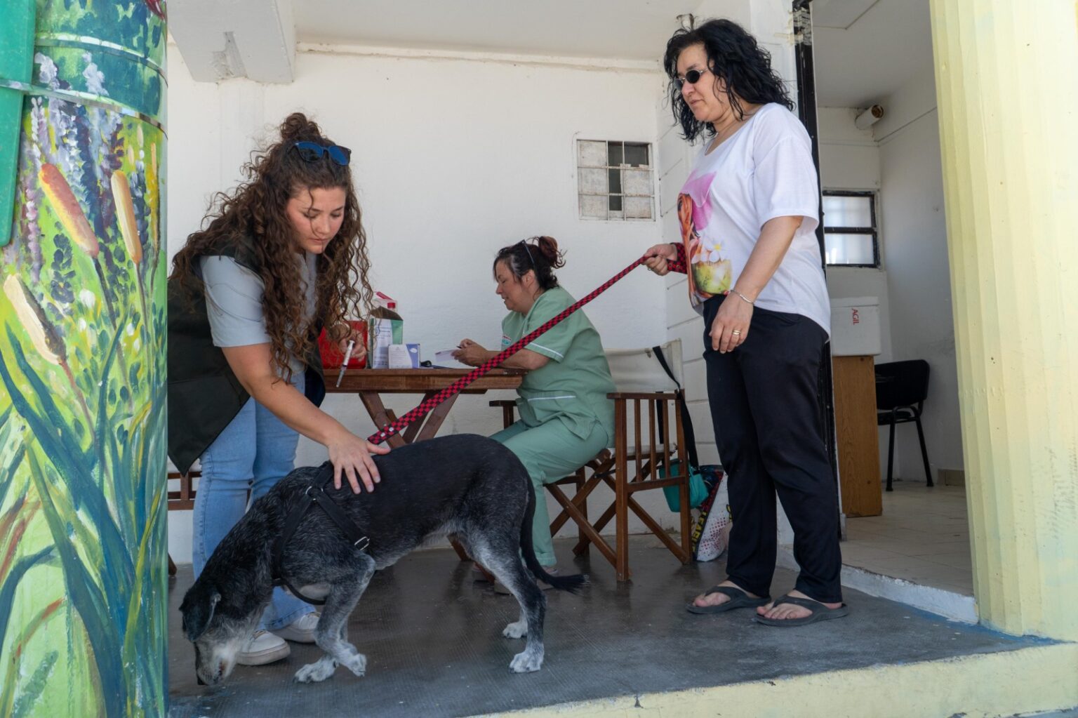 Rawson lanza una nueva campaña gratuita de vacunación antirrábica en su plaza central