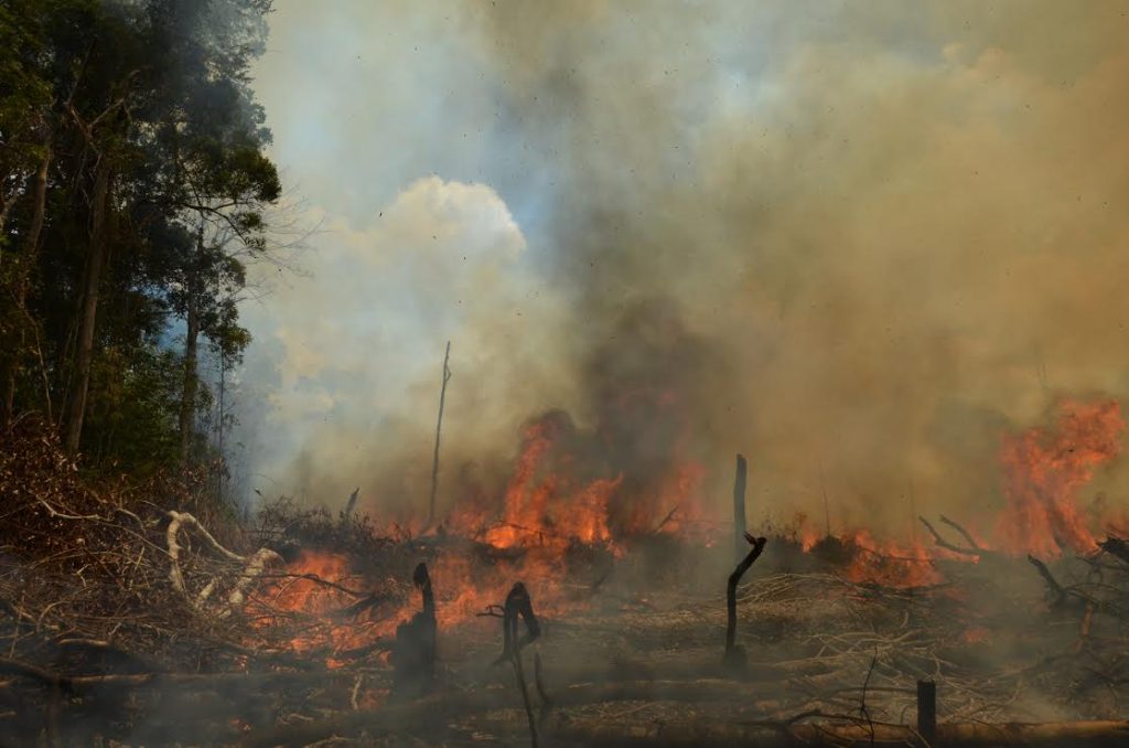 Incendios en la Cordillera: el déficit hídrico intensifica el avance del fuego