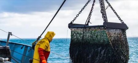 Por si fuera poco, la intensa presión extractiva sobre especies clave, en particular el calamar, altera el equilibrio del ecosistema marino y pone en riesgo la sustentabilidad de los recursos a largo plazo. La sobrepesca en áreas contiguas a la Zona Económica Exclusiva argentina afecta a los stocks que luego migran hacia aguas nacionales, lo que reduce las capturas disponibles para la flota local. En consecuencia, la explotación masiva por parte de flotas extranjeras se traduce en menor biomasa para la pesca nacional, una caída de la actividad en los puertos patagónicos y pérdidas millonarias de divisas que podrían potenciar las economías regionales. A esto se suma que las autoridades británicas en Malvinas utilizan las islas como una base clave para la logística y la entrega de licencias, lo que termina sosteniendo un esquema de explotación del recurso pesquero de manera unilateral. Para la Argentina, este escenario no solo agrava el impacto ambiental y golpea a la producción local, sino que además mantiene una situación que va a contramano del reclamo histórico de soberanía y complica la aplicación de políticas serias de cuidado y manejo del Atlántico Sur. Defender los recursos naturales va de la mano con el reclamo argentino por las Islas Malvinas y la falta de un control firme sobre la pesca extranjera termina debilitando la posición del país en el plano internacional.