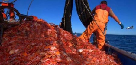 Puerto Madryn se afirmó como segundo puerto del país en un 2025 de capturas casi estables