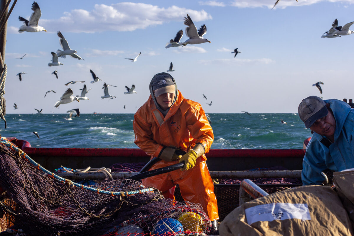 Rawson proyecta cerrar la temporada de langostino con 80 mil toneladas y más de 10 mil empleos