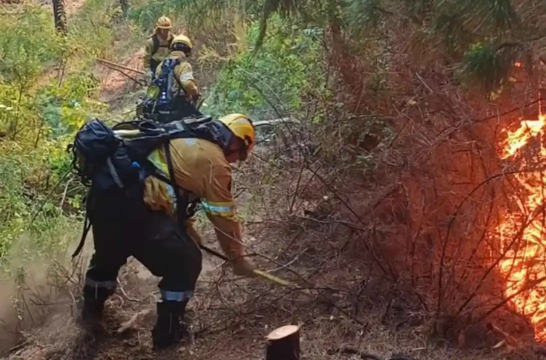 Refuerzan operativos en Puerto Patriada y Los Alerces ante otro fin de semana crítico