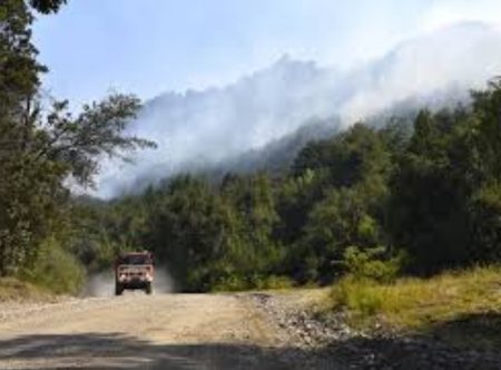 Se intensifica el combate en el incendio del Parque Nacional Los Alerces