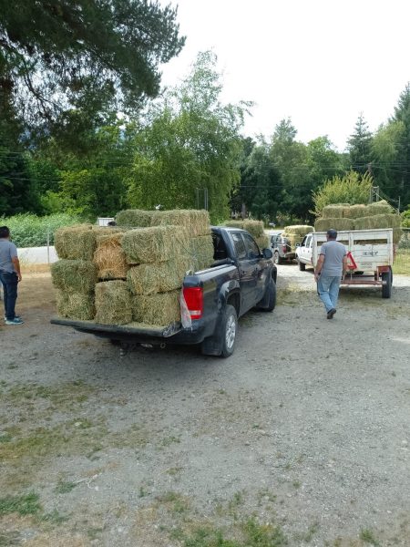 Provincia asiste a productores afectados por los incendios en la región cordillerana Provincia asiste a productores afectados por los incendios en la región cordillerana