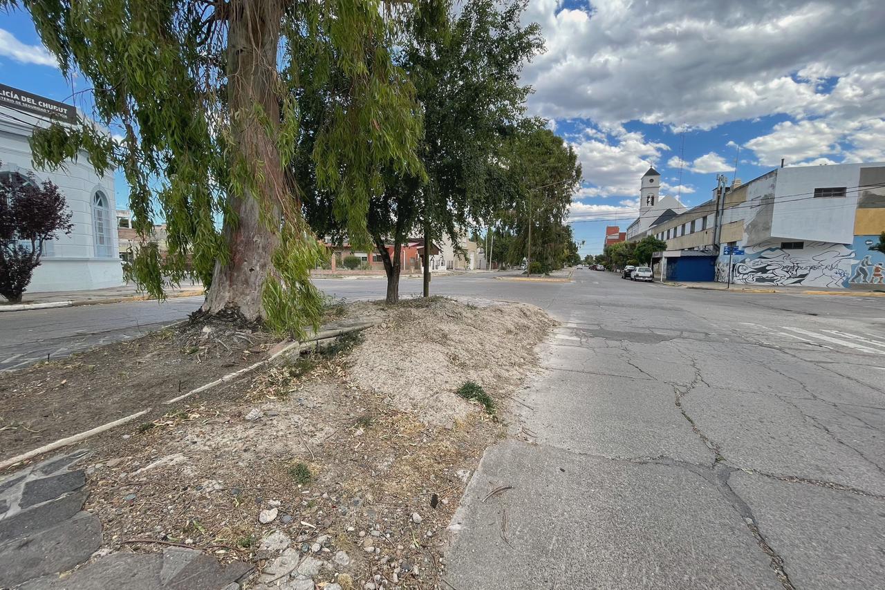 Rawson inicia la remodelación integral de la Avenida San Martín