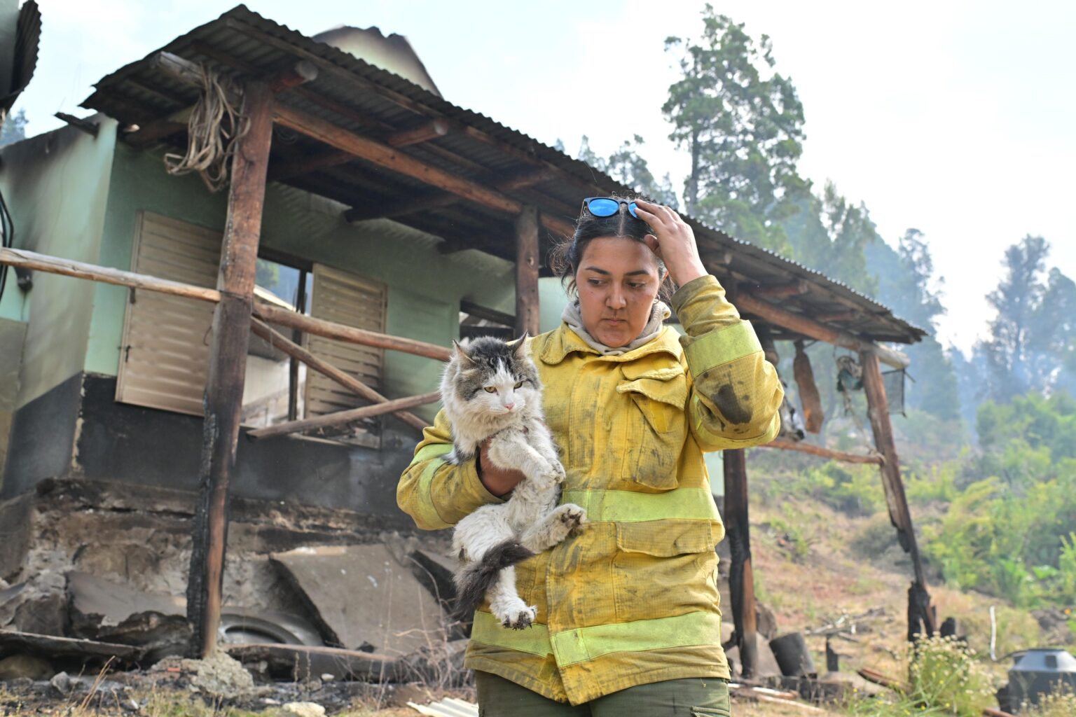 Un gato sobrevive al infierno del Cerro La Momia en un rescate que conmovió a Cholila