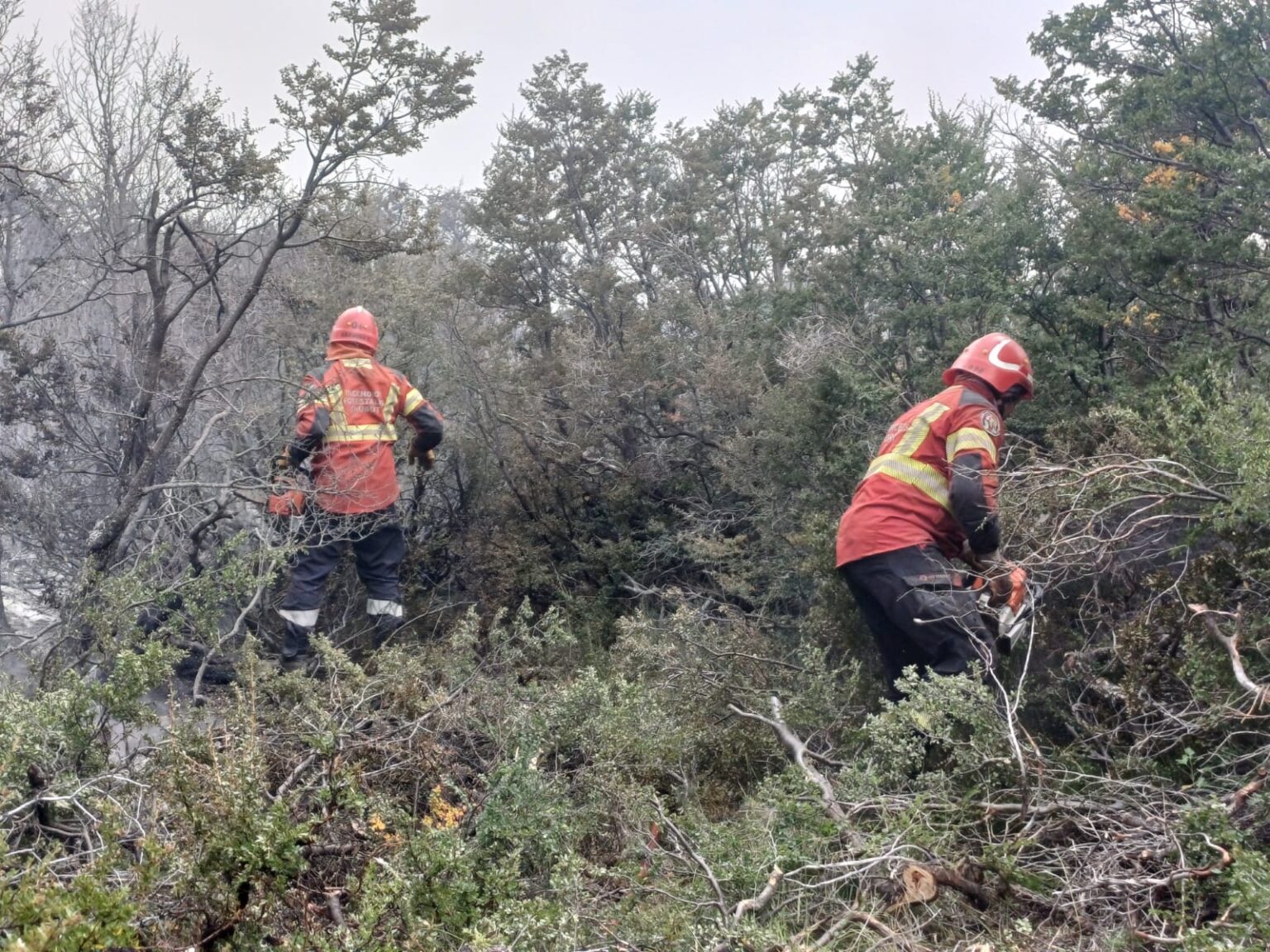 El incendio «Puerto Café» avanza hacia la Ruta 40 pero aún no ingresa a Esquel