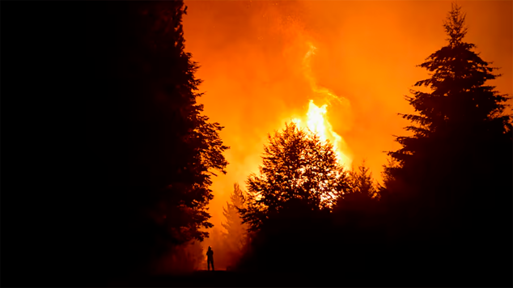 La Patagonia bajo emergencia: miles de hectáreas arrasadas por el fuego