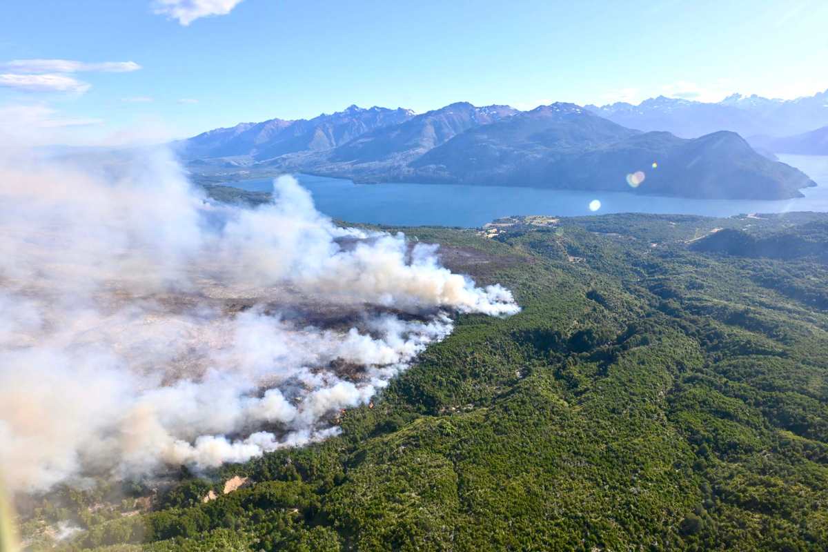 Incendios en Los Alerces amenazan al 2do árbol mas viejo del mundo