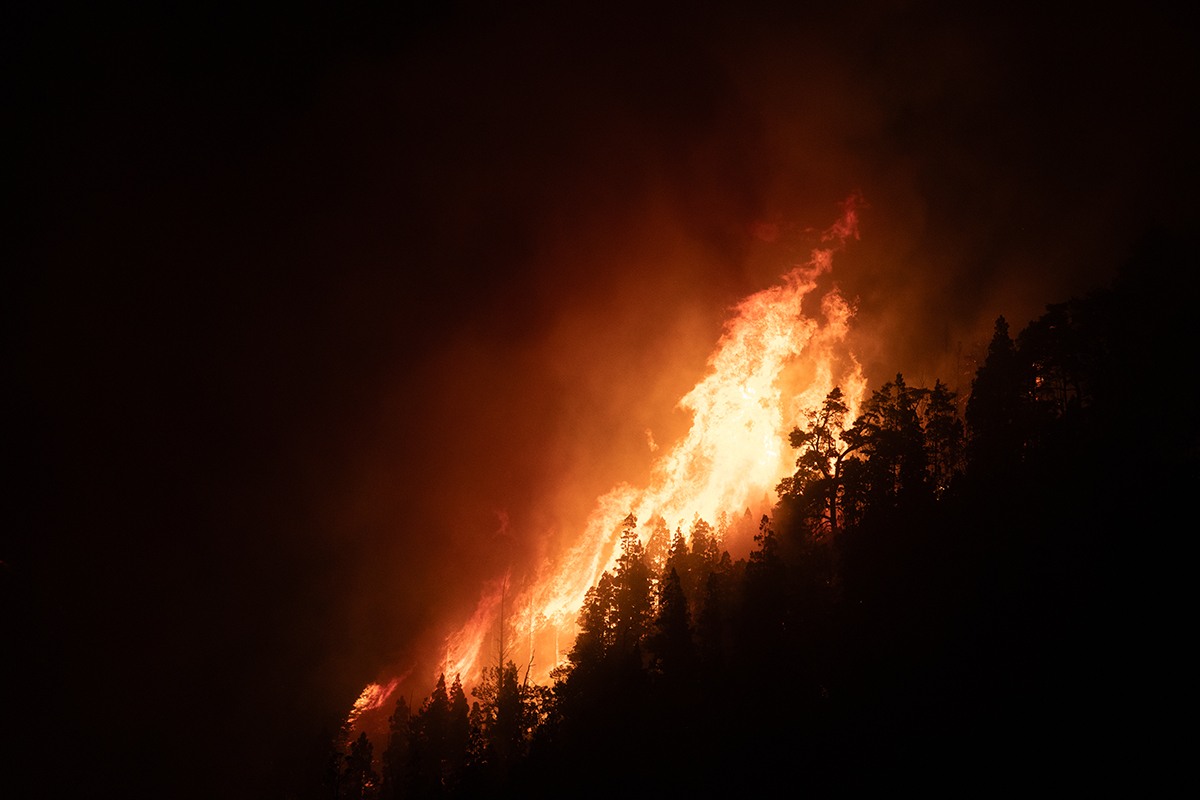 El dramático relato de una periodista en los incendios en Chubut: “Se nos caían las lágrimas”