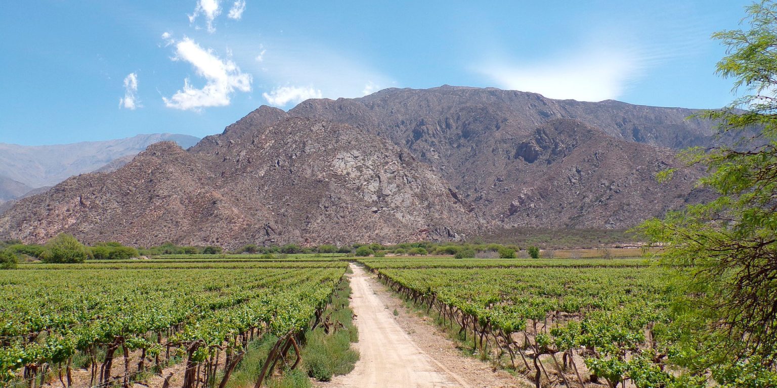 Mapa interactivo expone que 13 millones de hectáreas de Argentina están en manos extranjeras