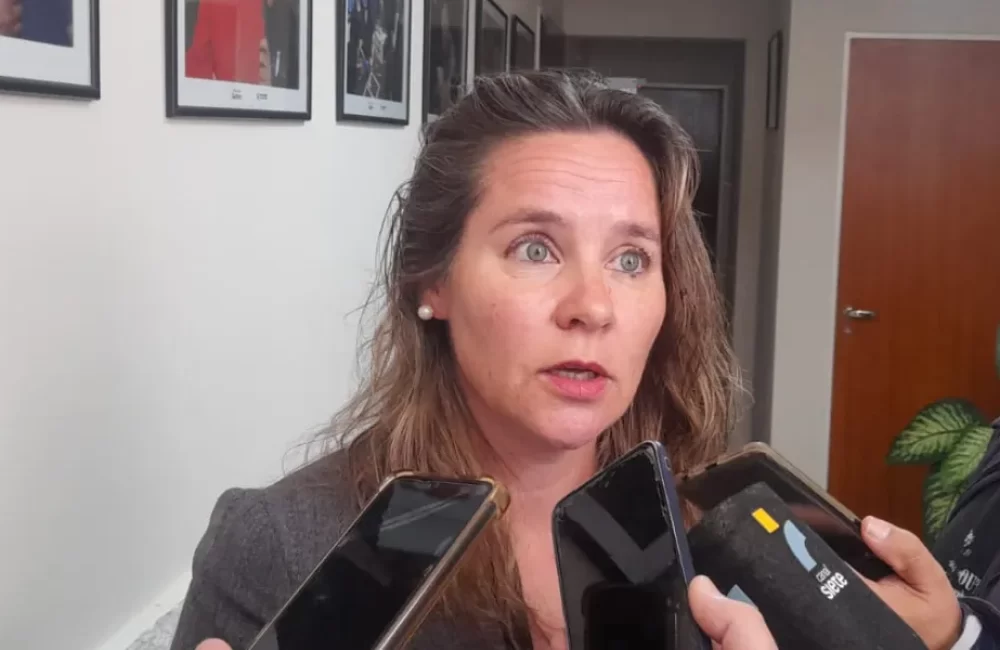 Emergencia máxima: incendio en Los Alerces ingresa a Chubut y evacúan familias