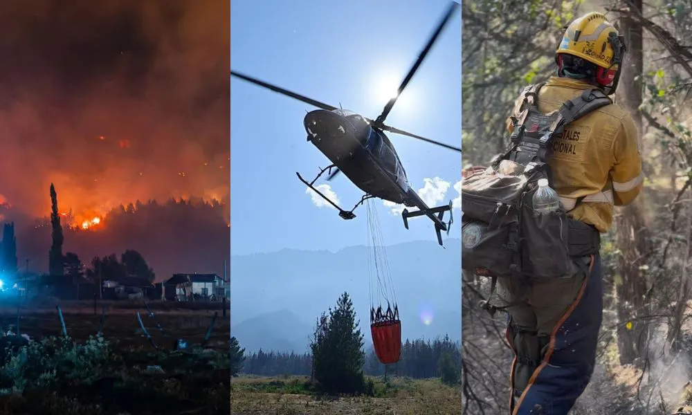 Incendios en Chubut: «Todos, no solo los locales, están dando la vida para defender el bosque»