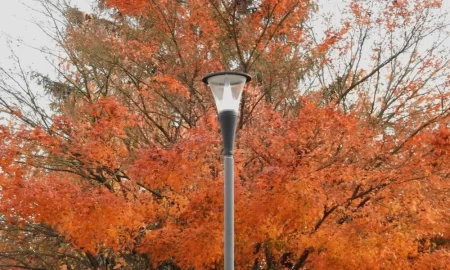 Un domingo de calor y vientos intensos se espera en Chubut