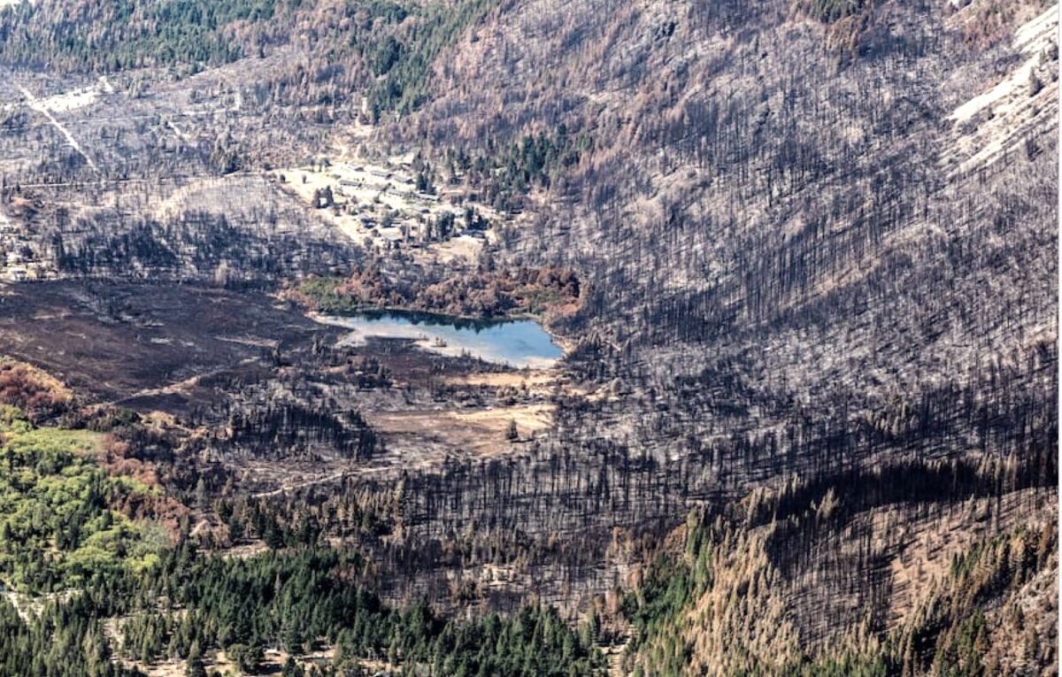 Desastre ambiental en Chubut: Greenpeace capturó el daño en El Hoyo