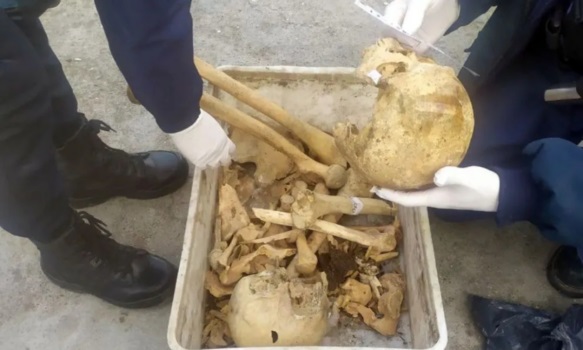 Hallazgo macabro: llevan a Esquel los 4 cráneos de Rawson