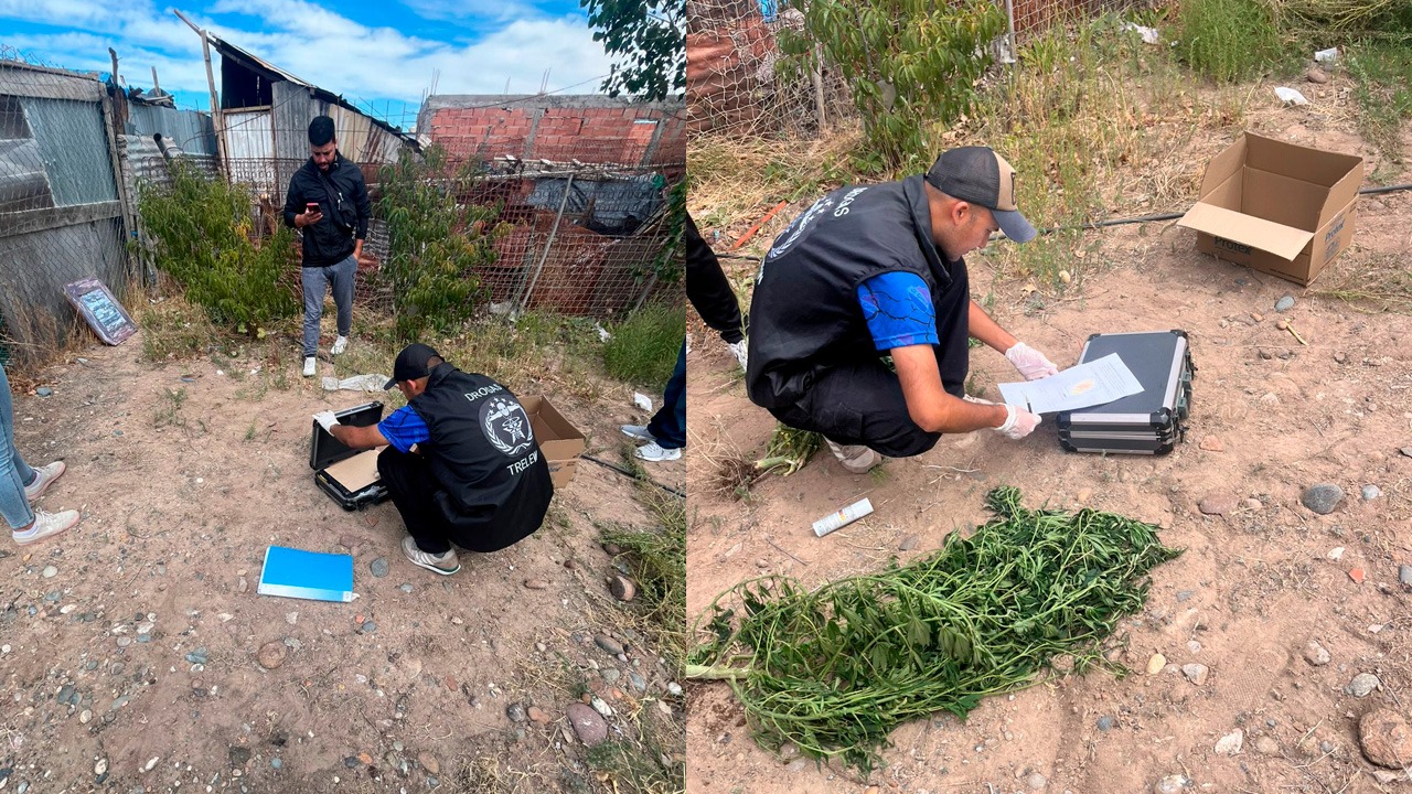 Violento episodio en Trelew: golpeó a su pareja, agredió a un policía y tiró plantas de marihuana al vecino