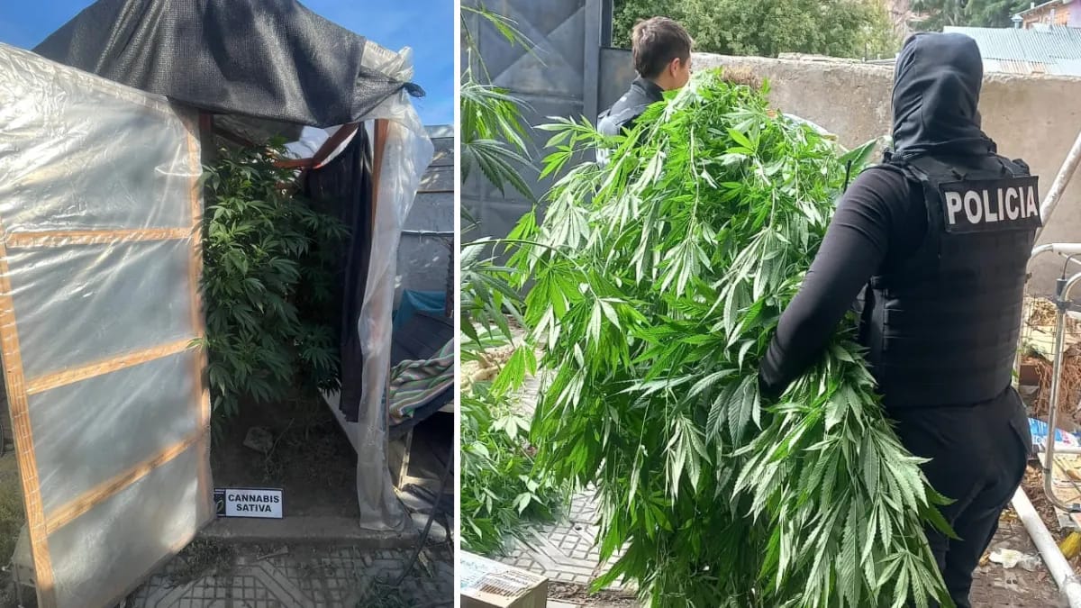 Desarticulan un punto de venta de drogas en Esquel tras 25 días de investigación
