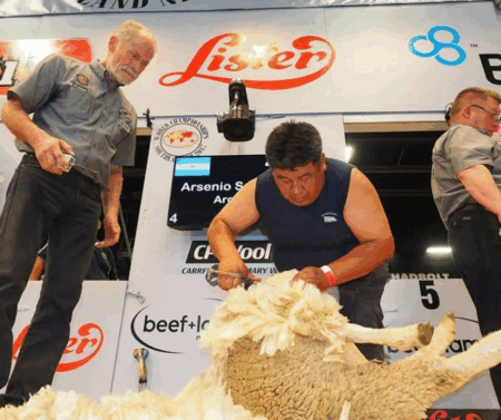 Arsenio Saihueque representó a la Argentina en mundiales de esquila y ahora busca crear un museo en Gobernador Costa