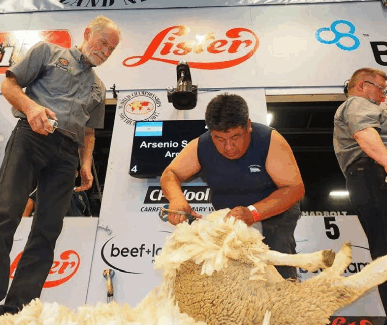 Arsenio Saihueque representó a la Argentina en mundiales de esquila y ahora busca crear un museo en Gobernador Costa