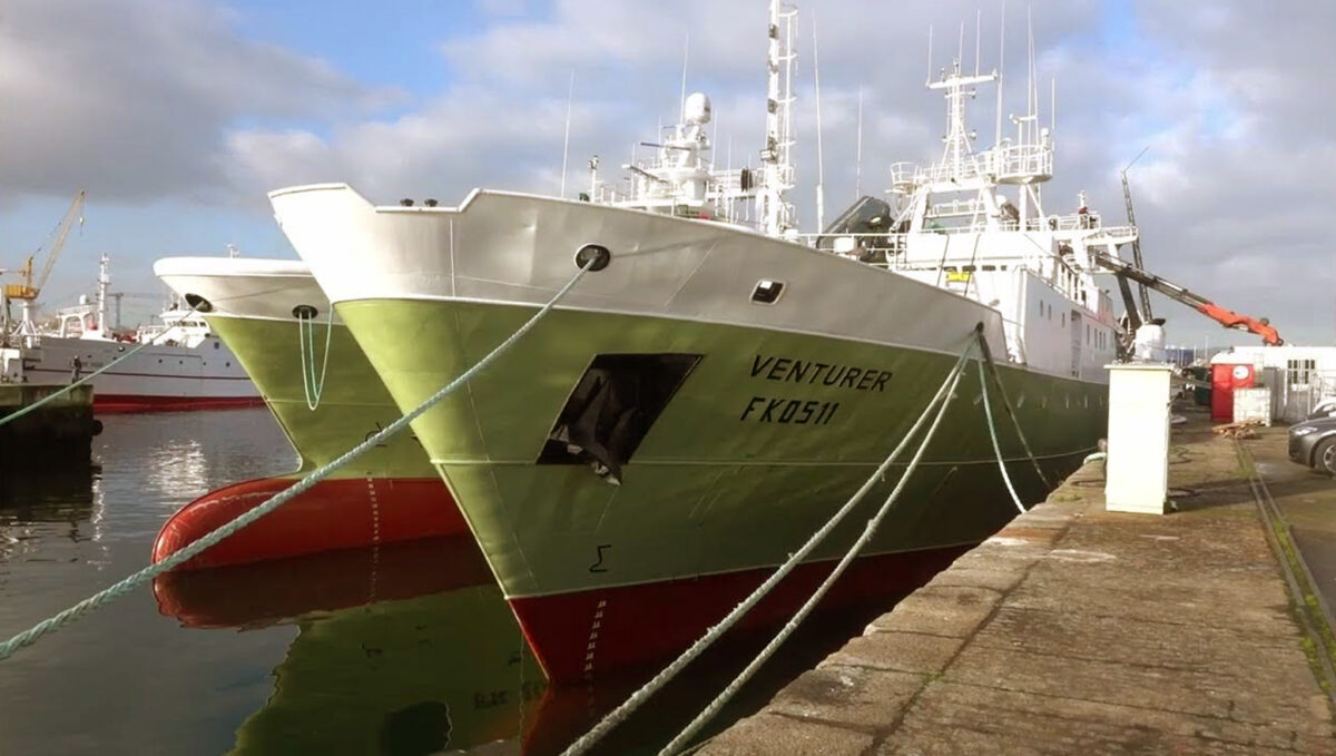 Calamar loligo: exitosa prospección del BP Monteferro marca un prometedor inicio de temporada en Malvinas