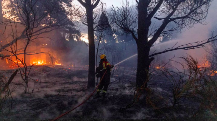 Con satélites y drones: diseñaron un sistema que permite detectar incendios forestales en tiempo real