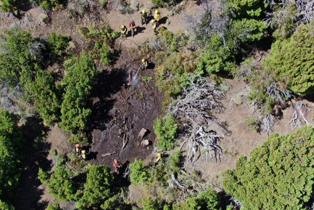 Clubes de observadores de aves denuncian una catástrofe ambiental en Chubut