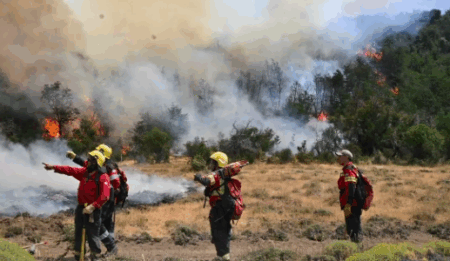 ¡Guerra contra el fuego en Los Alerces! Despliegan aviones hidrantes y helicópteros para contener el incendio «La Tapera»