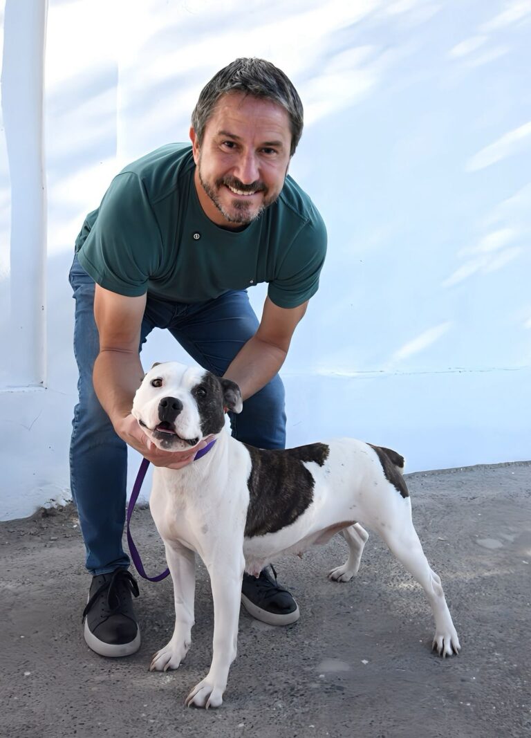 Trelew: Zoonosis supera las 190 adopciones y el intendente se sumó con una