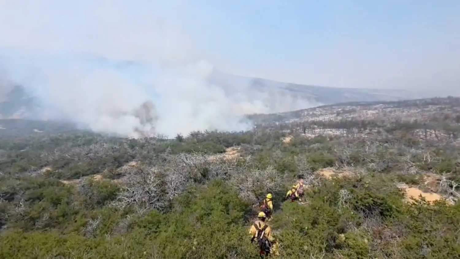 Incendios en la Patagonia: La provincia de Buenos Aires envia brigadistas y equipamiento pesado para combatir el fuego