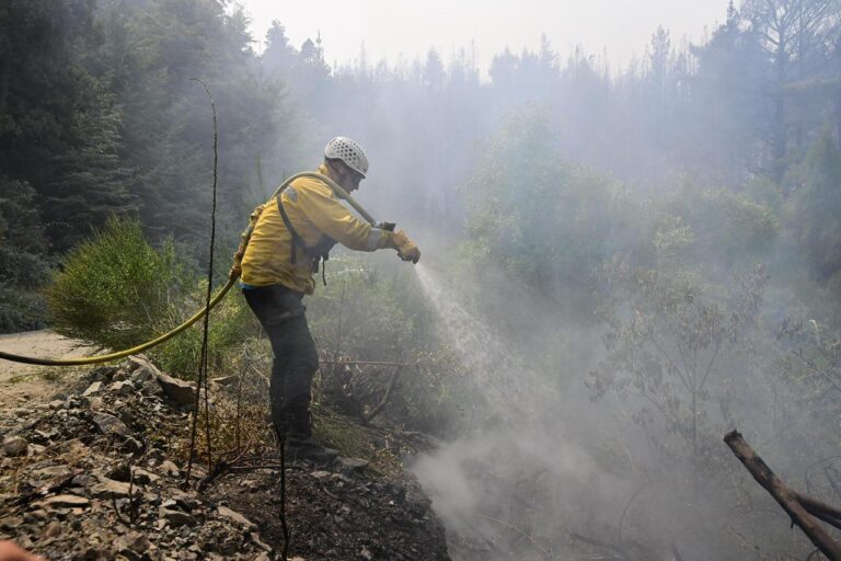 Parque Nacional Los Alerces: Continúan los controles y monitorean puntos calientes