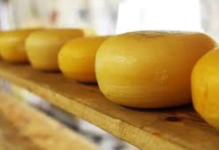 Patrimonio gastronómico: Inician el proceso para blindar la receta del Queso de Tafí del Valle