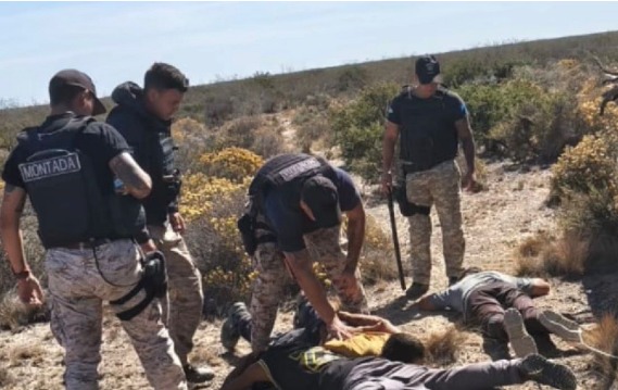 Persecución y detención en Madryn: huía con un camión de leña e intentó embestir a la Policía