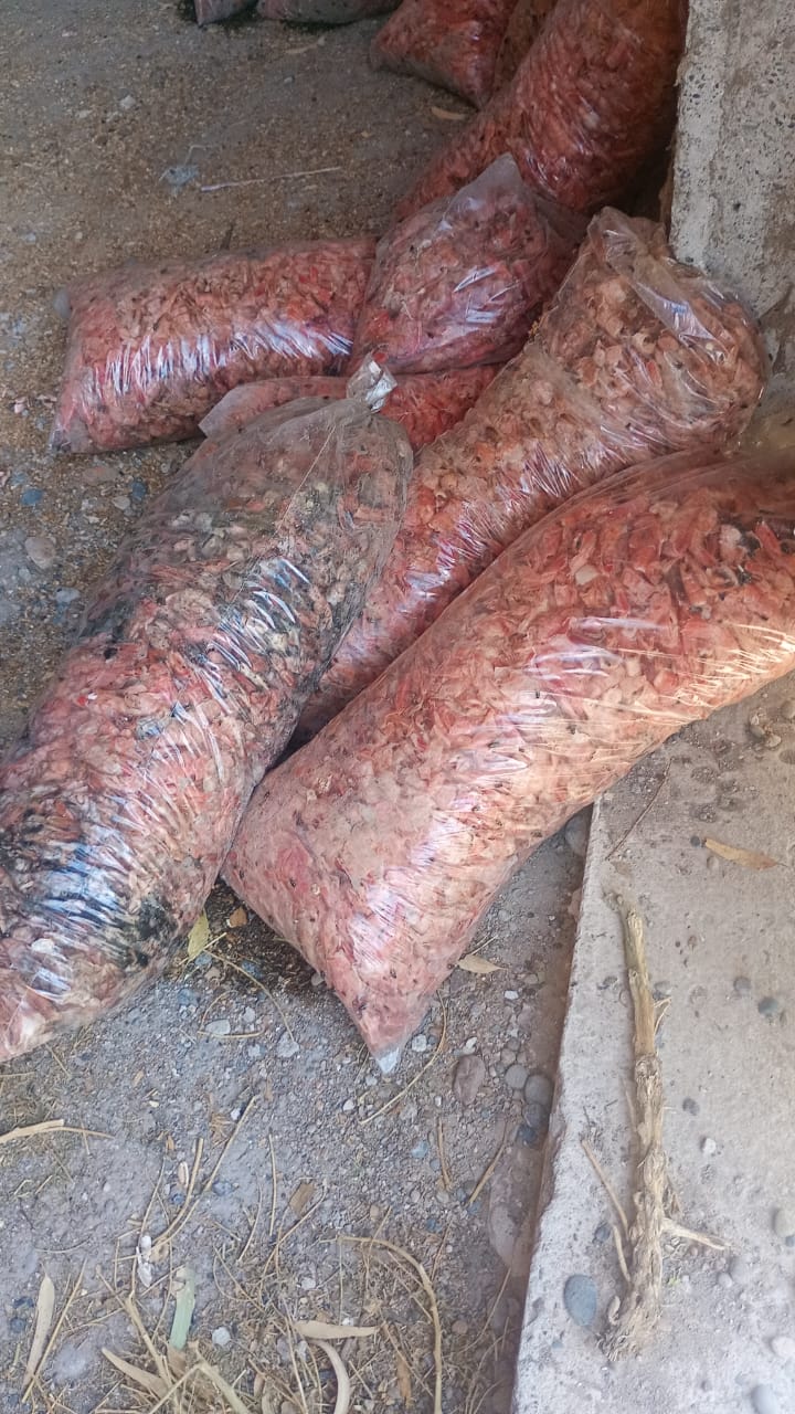 Allanamiento y clausura en Roca al 2750: desarticulan una pesquera clandestina que operaba tras denuncias vecinales