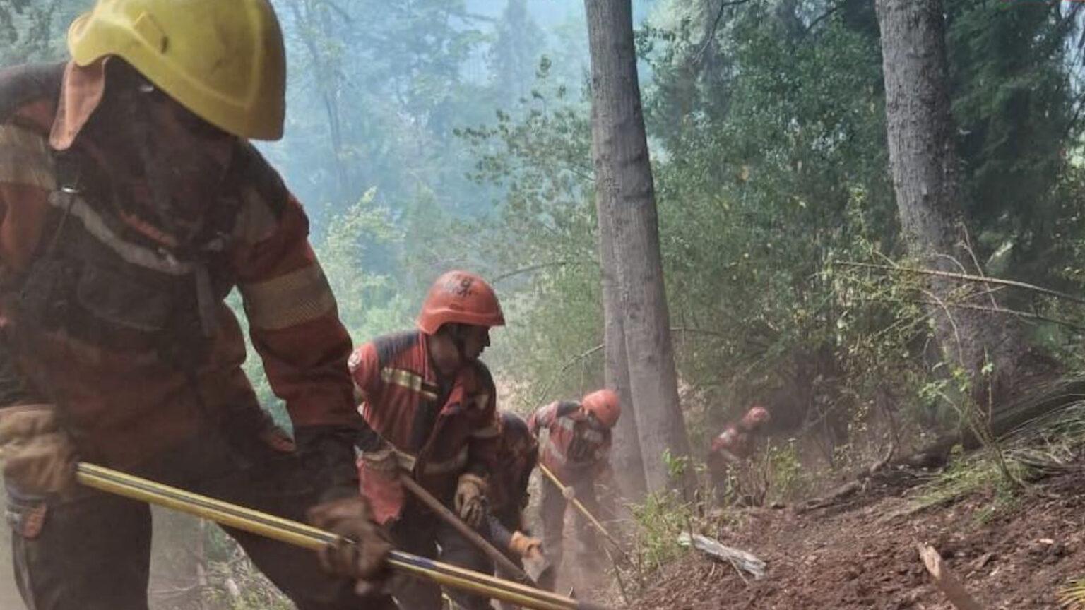 Incendios en Los Alerces: la Armada refuerza el combate contra el fuego