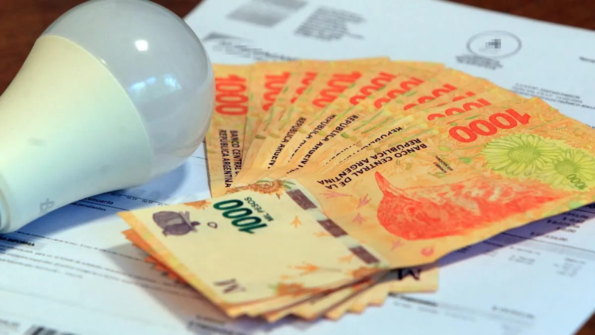 Nuevos subsidios eléctricos: tope de 300 kWh y dos categorías